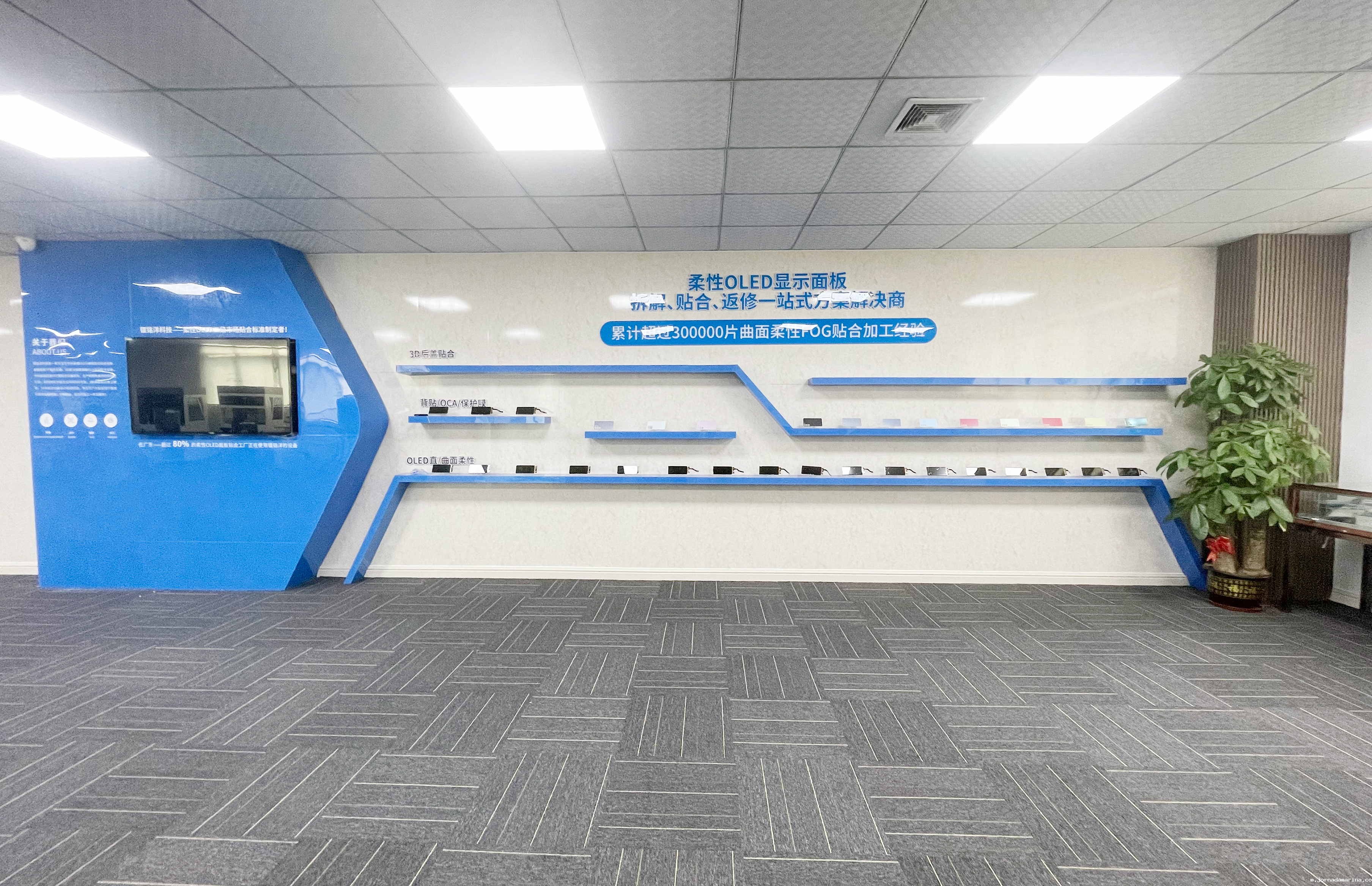 星空游戏官网首页登录入口智能装备助力柔性OLED技术突破，推动产业高质量发展