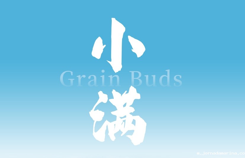 小满至，万物盈，愿您事业生活皆美满